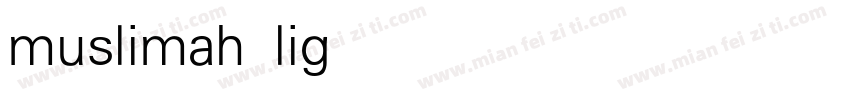 muslimah light字体转换